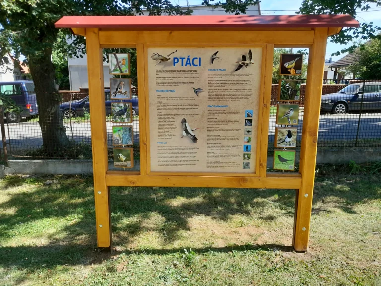 Zahrada ZŠ